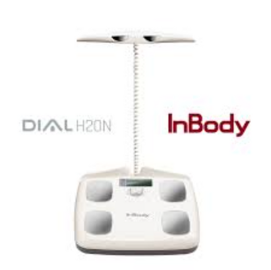 InBody Dial H20 Bluetooth Smart Body Fat Composition Scale Analyzer - Beige (H20N)